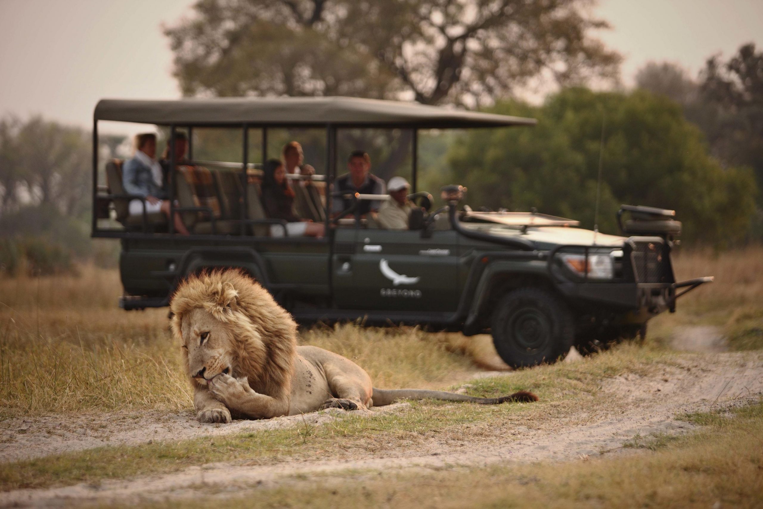 Crédit photo : andBeyond Sandibe Okavango Safari Lodge