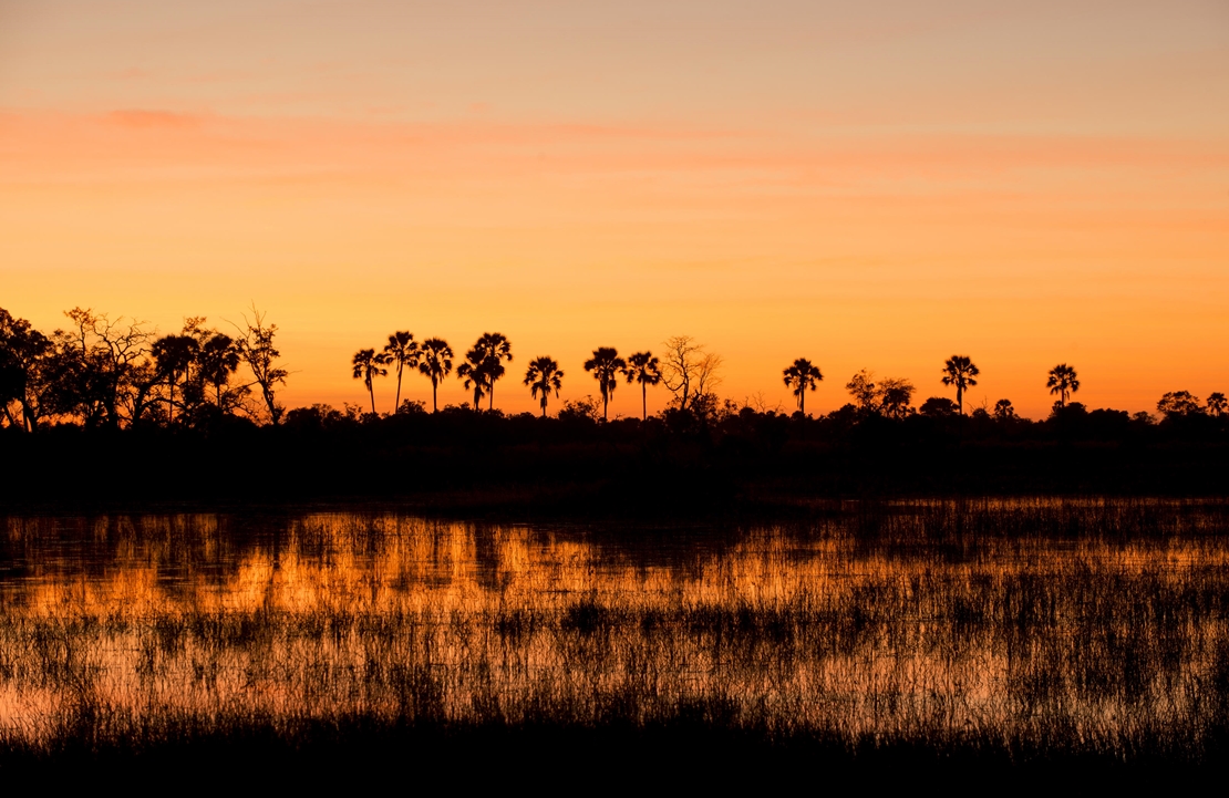 Crédit photo : andBeyond Nxabega Okavango Tented Camp
