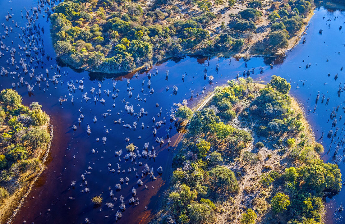 Voyage Delta de l'Okavango - Vue de haut - Amplitudes