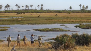 Crédit photo : andBeyond Sandibe Okavango Safari Lodge