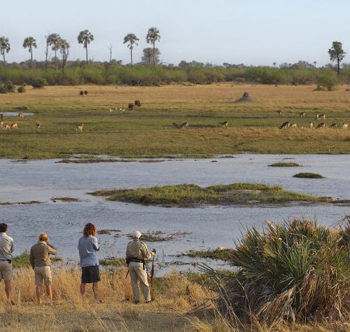 Crédit photo : andBeyond Sandibe Okavango Safari Lodge