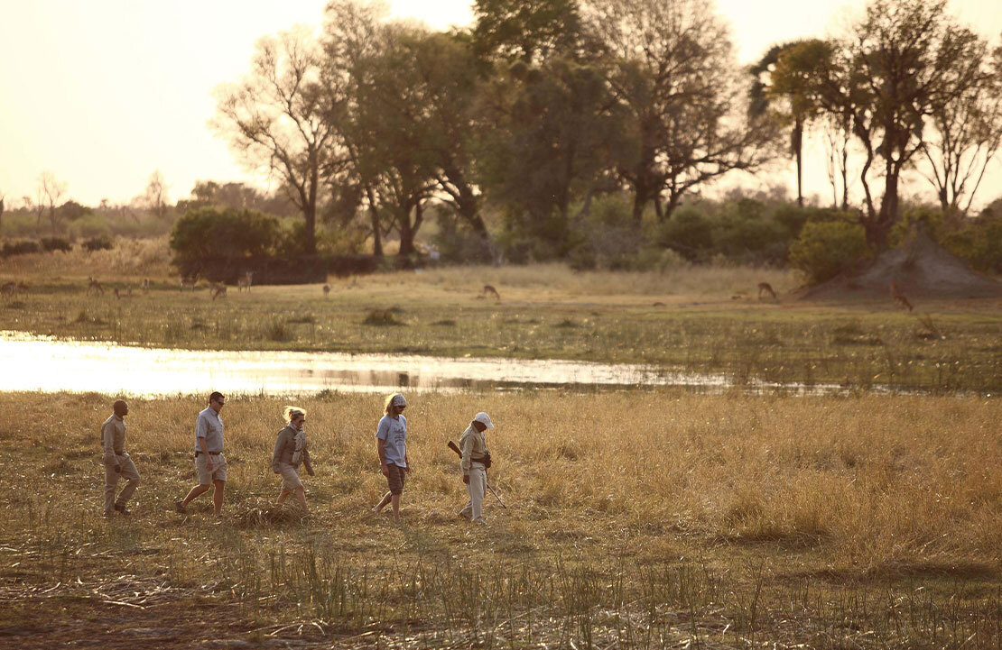 Crédit photo : andBeyond Sandibe Okavango Safari Lodge