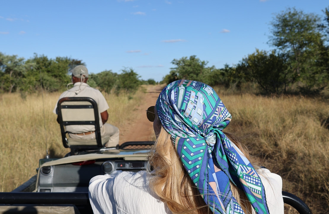 Safari Afrique du Sud - 4x4 TheBabooshka - Amplitudes