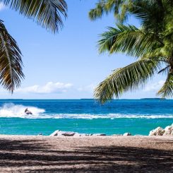 Que faire en Jamaïque ? 10 expériences au « cool caribéen »