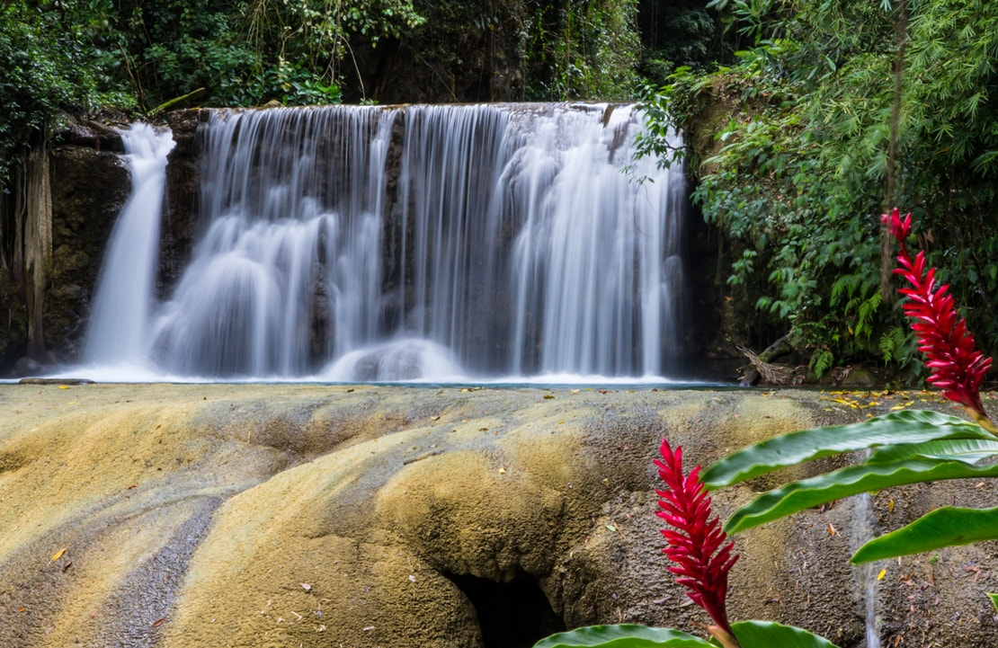 Voyage Côte Sud Jamaïque - Ys Falls - Amplitudes