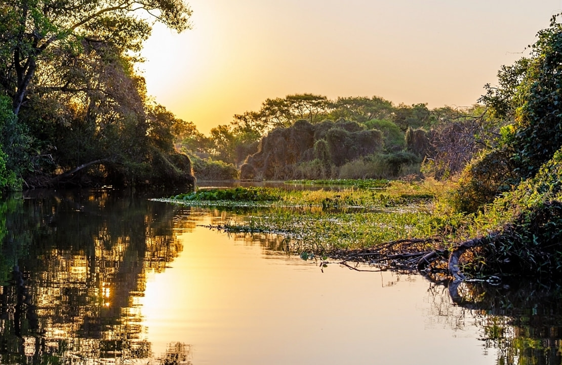 Voyage dans le Pantanal - Lever de soleil sur les marais - Amplitudes
