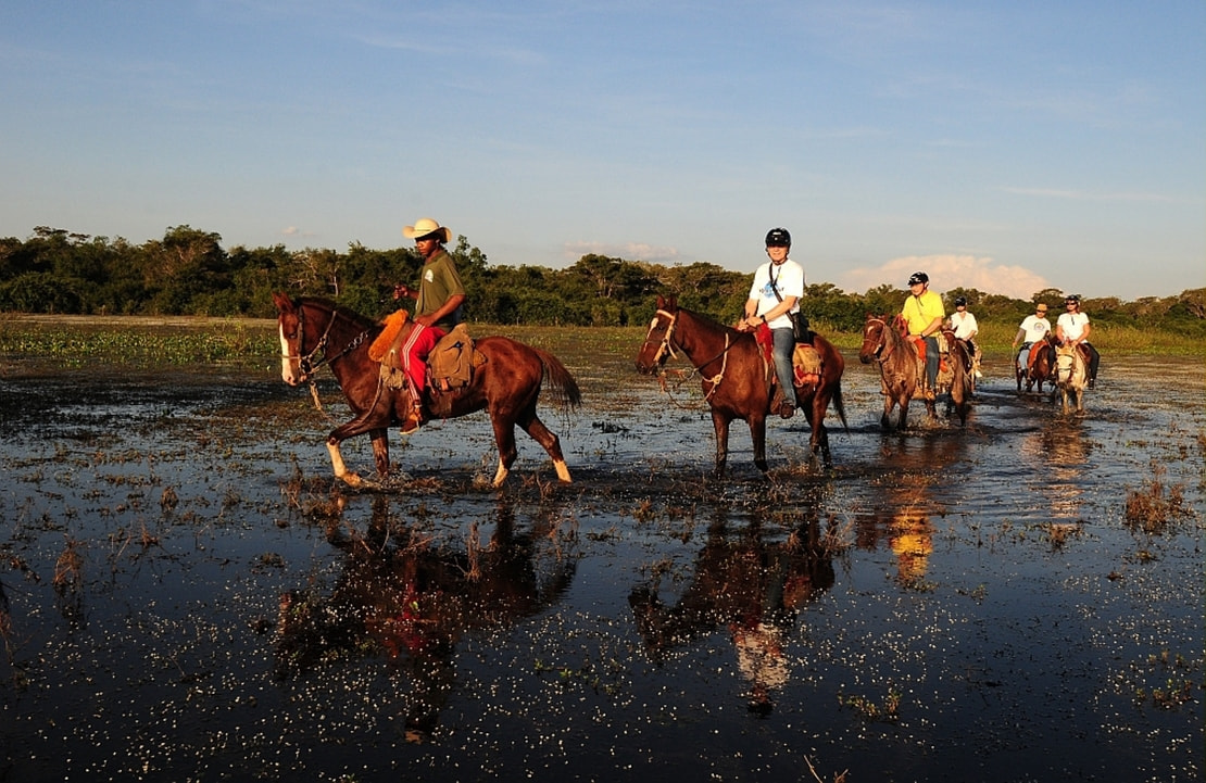 Voyage dans le Pantanal - Balade à cheval à l'aube - Amplitudes