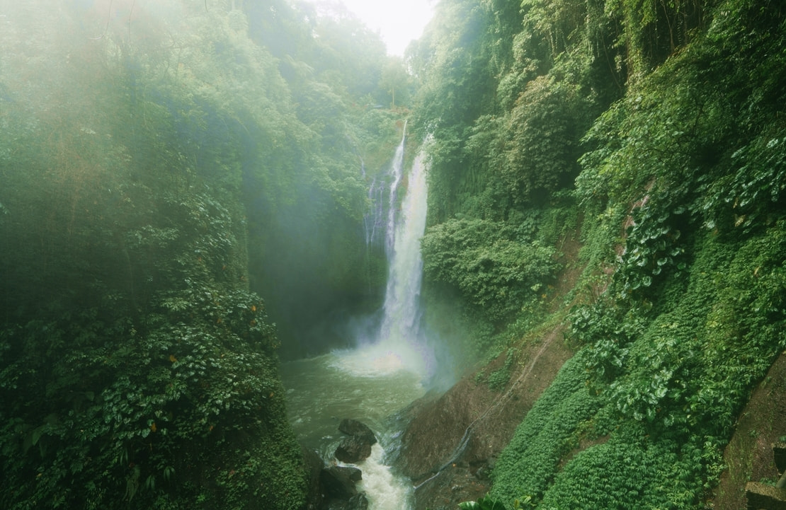 Séjour Parcs Naturels Colombie - Cascade Parc Utria - Amplitudes