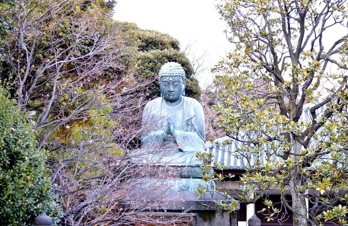 Séjour à Tokyo - La quiétude du temple Tennoji - Amplitudes