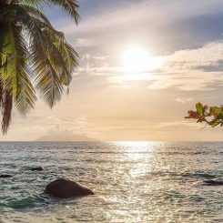 Plage en Jamaïque : quel hôtel de luxe avec vue ?