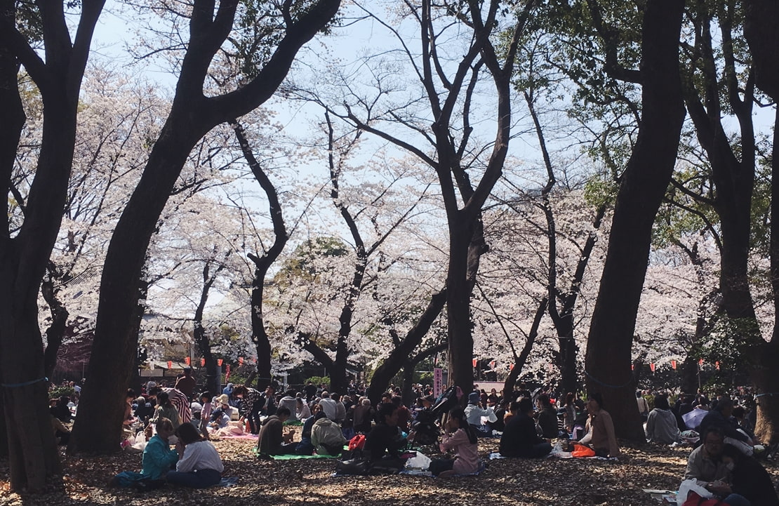 Voyage au Japon en famille - La beauté du parc Ueno - Amplitudes