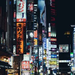 Que faire à Tokyo la nuit ? Nos spots favoris