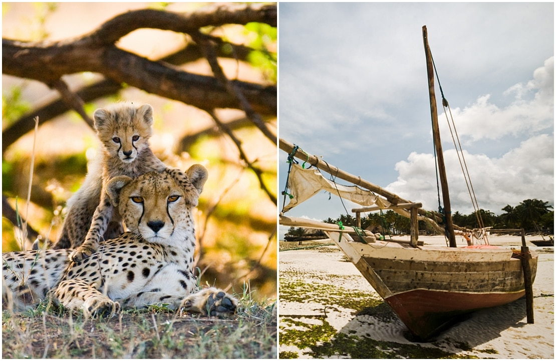 Combiné safari-plage en famille - Tanzanie - Zanzibar - Amplitudes