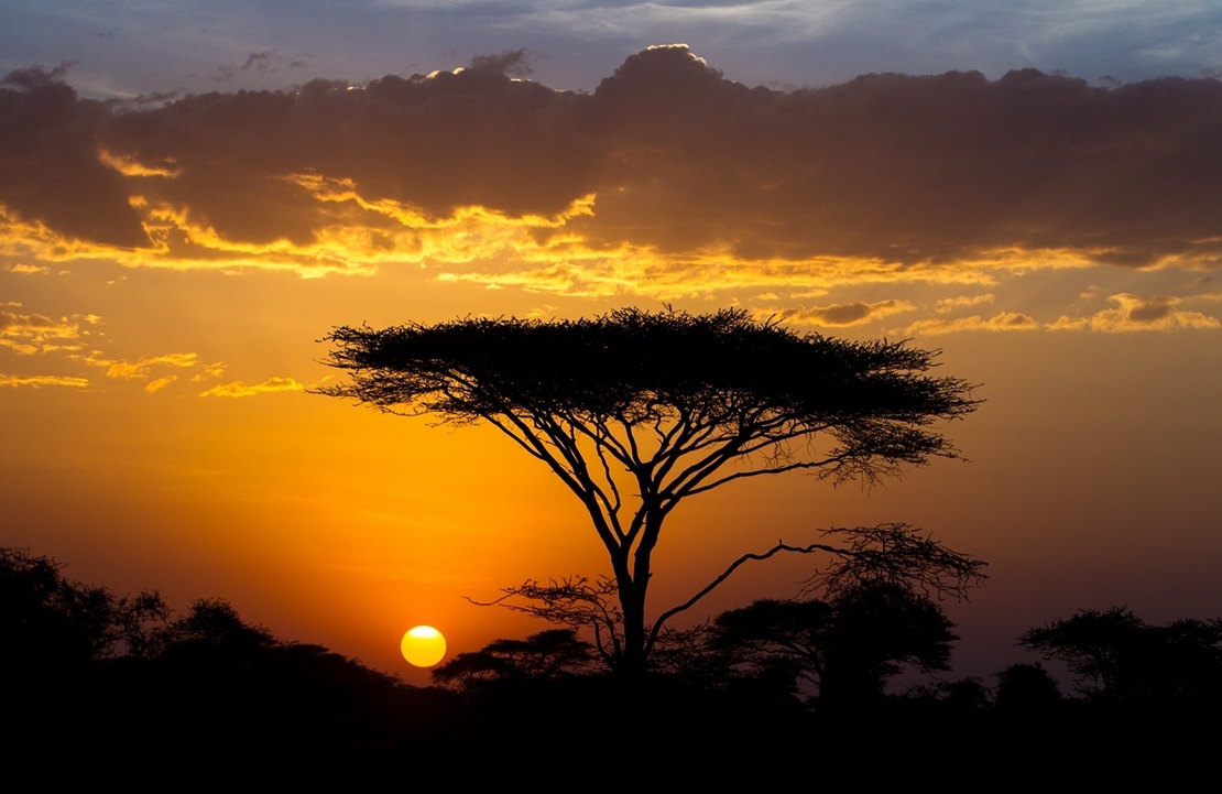 Voyage en Tanzanie - Crépuscule sur le Serengeti - Amplitudes
