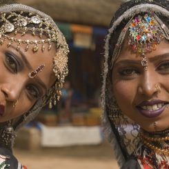 Inde du nord ou du sud : laquelle est faite pour vous ?