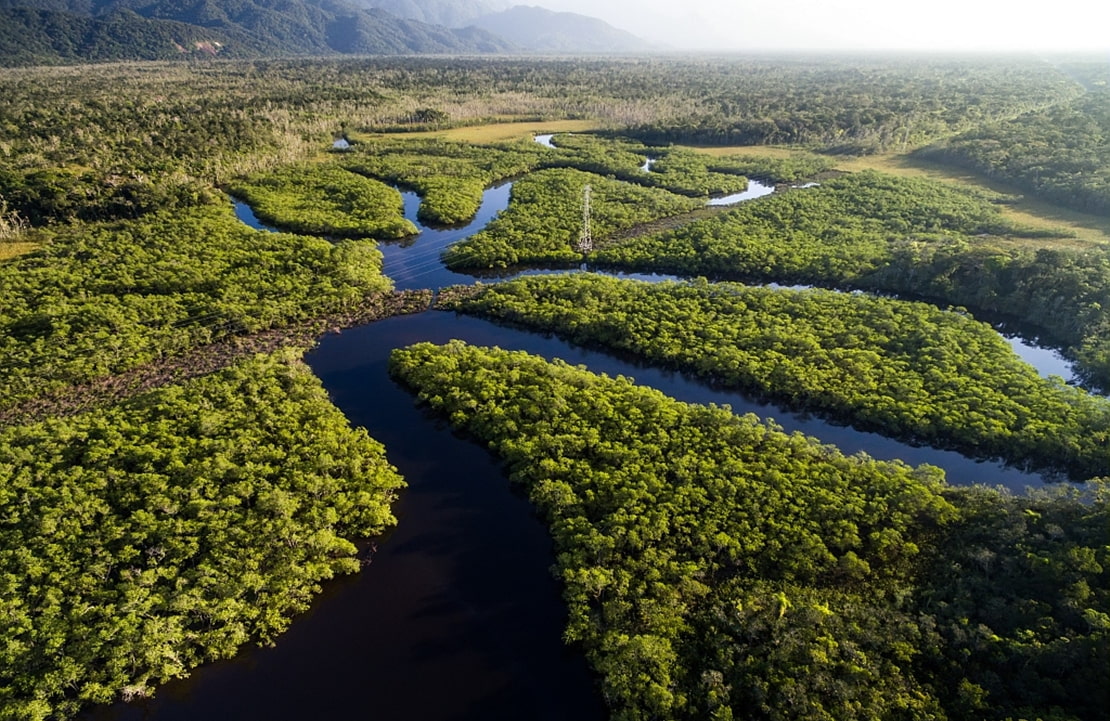 Croisière en Amazonie - Partir en croisière sur le fleuve Amazone - Amplitudes