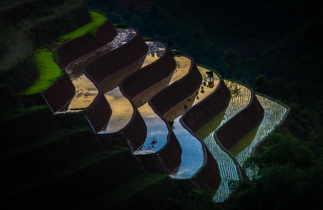 Voyage au nord Vietnam - Rizière en escalier dans la région de Lao Cai - Amplitudes