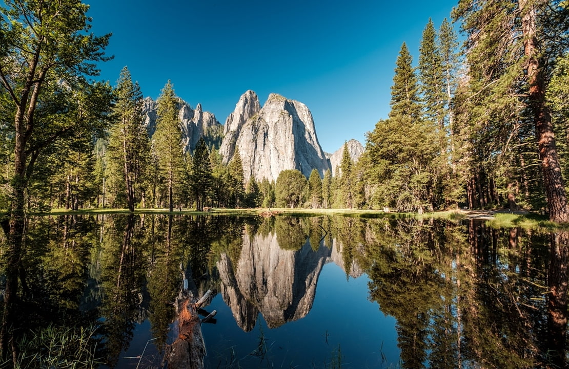 Road-trip en Californie - Le Yosemite National Park - Amplitudes