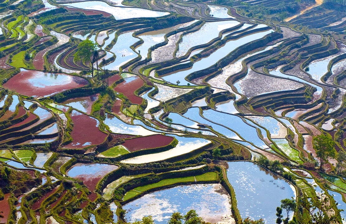 Circuit chauffeur-guide au Vietnam - Les rizières de la vallée de Mai Chau - Amplitudes