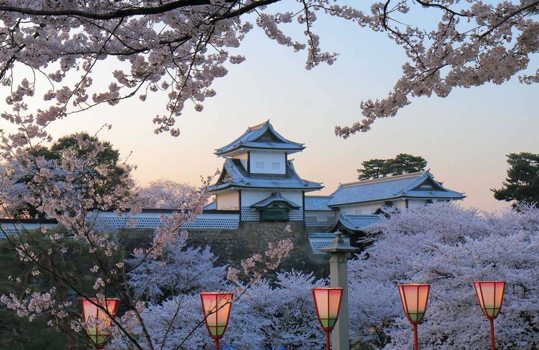 Voyage en train au Japon - Le château de Kanazawa sous les cerisiers en fleur - Amplitudes