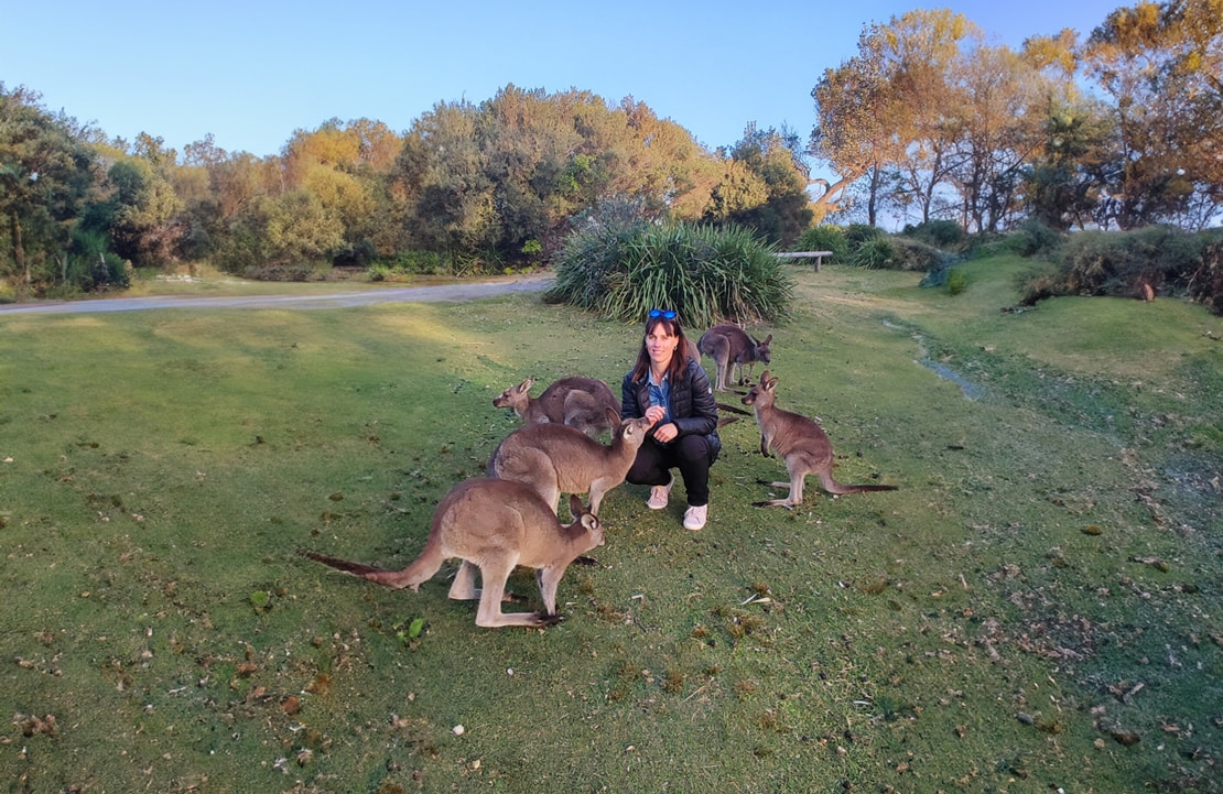 Safari en Australie - Notre experte Géraldine au milieu des kangourous - Amplitudes