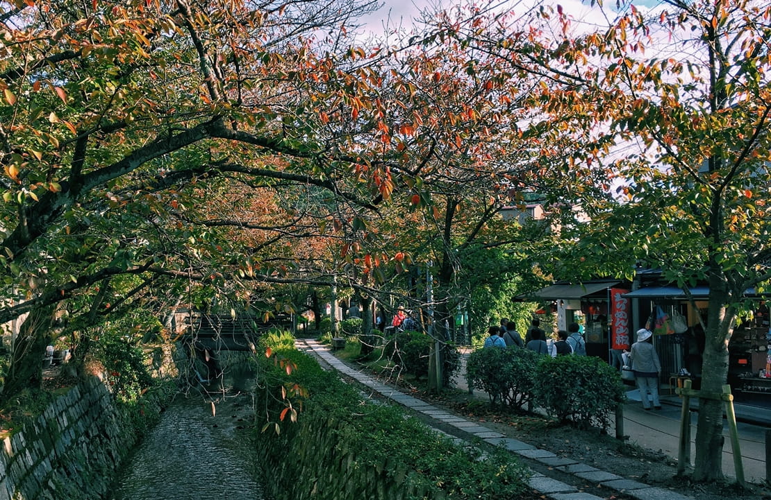 Voyage en train au Japon - Le chemin de la philosophie sous les cerisiers- Amplitudes