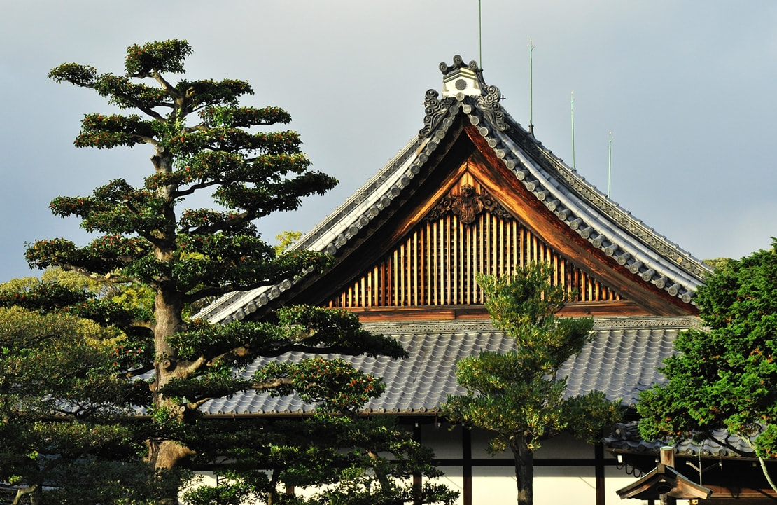 Séjour au Japon - Le château Nijo - Amplitudes