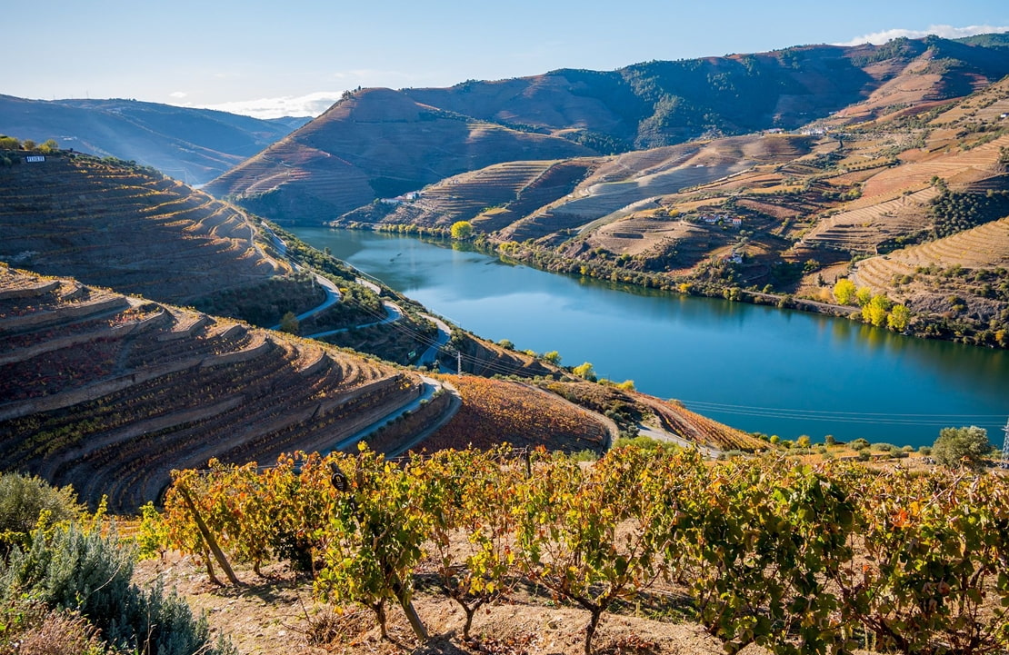 Voyage de noces au Portugal - Les vignes de la vallée du Douro - Amplitudes