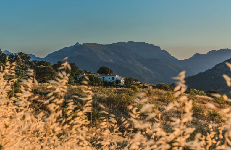 Lune de miel en Espagne - La Donaira dans la campagne andalouse - Amplitudes