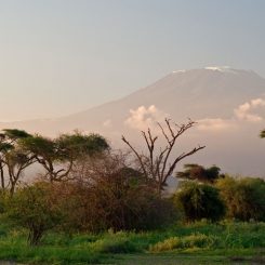Parcs et réserves du Kenya, nos secrets d’experts