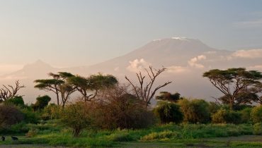 Safari à Amboseli - Vue du Kilimandjaro au lever du soleil - Amplitudes
