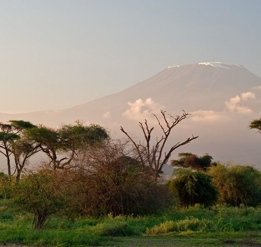 Safari à Amboseli - Vue du Kilimandjaro au lever du soleil - Amplitudes