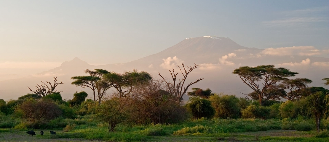 Safari à Amboseli - Vue du Kilimandjaro au lever du soleil - Amplitudes