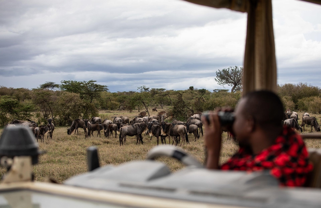 Voyage de luxe au Masaï Mara - Safari durant la Grande Migration - Amplitudes