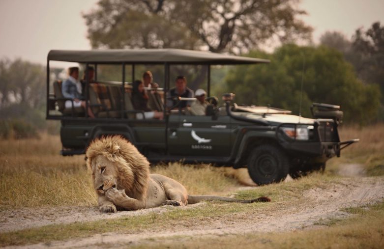 Voyage en amoureux au Kenya - Safari en jeep au Masai Mara - Amplitudes