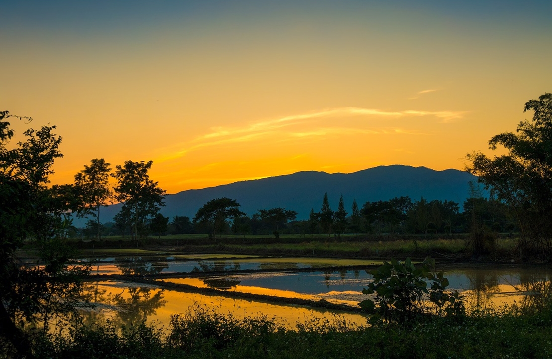 Séjour à Chiang Mai - La campagne aux aurores - Amplitudes