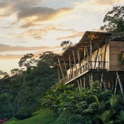 Les plus beaux hôtels de luxe au Costa Rica, nos lodges 5*