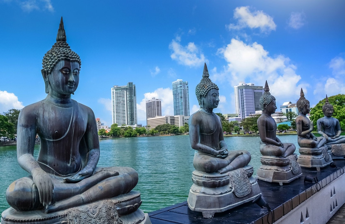 City trip à Colombo - Une allée de Bouddha sur fond de gratte-ciel - Amplitudes