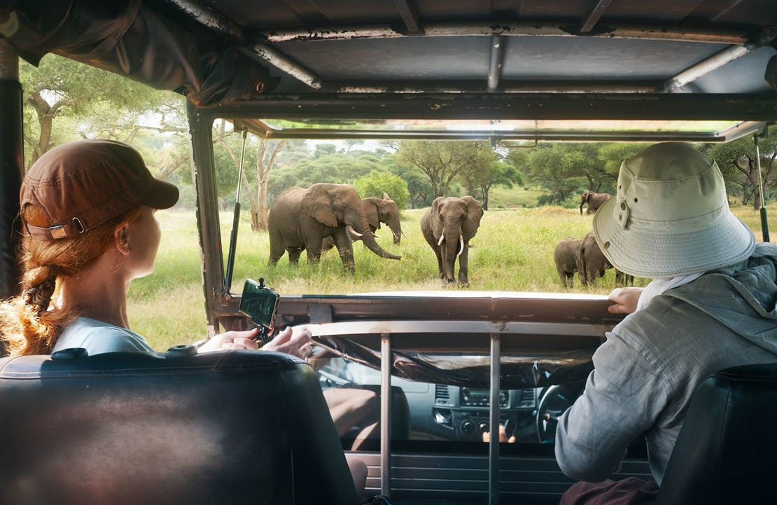 Safari au Sri Lanka - Rencontre avec les éléphants près d'Anuradhapura - Amplitudes
