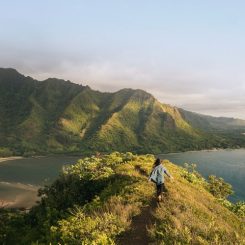 Les plus belles îles d&rsquo;Hawaï, quelle sera votre oasis ?&nbsp;