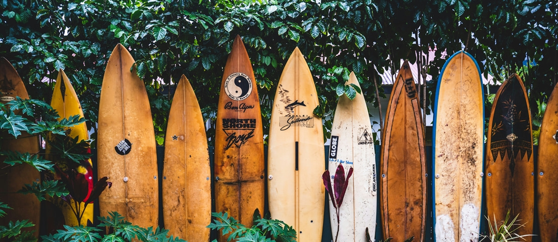 Voyage dans l'histoire d'Hawaï - Les iconiques planches de surf de Waimea Bay - Amplitudes