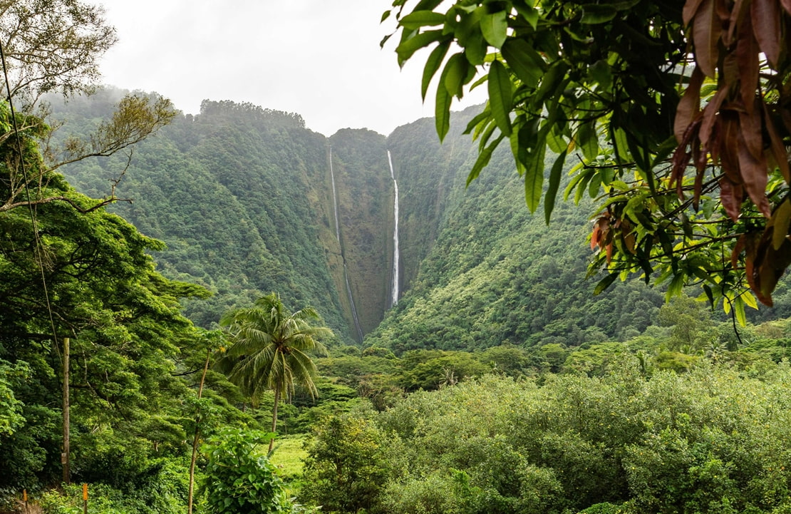 Voyage en famille à Kauai - Les Jurassic Falls - Amplitudes