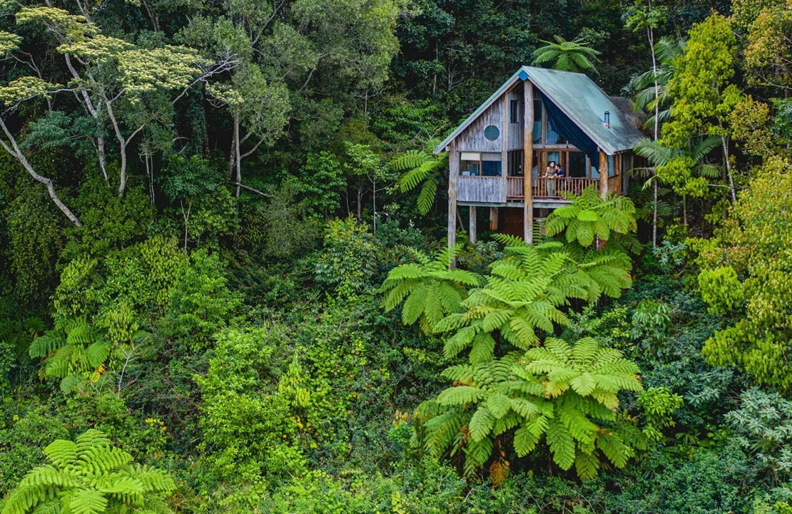 Voyage sur mesure dans le Queensland - Votre cabane dans les arbres du Rose Gums Wilderness Retreat - Amplitudes