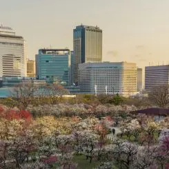 Que faire à Osaka ? Que voir, que visiter, nos favoris