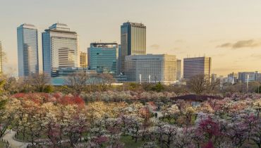 Que faire à Osaka - Savourer la vue - Amplitudes