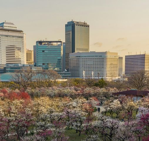 Que faire à Osaka - Savourer la vue - Amplitudes