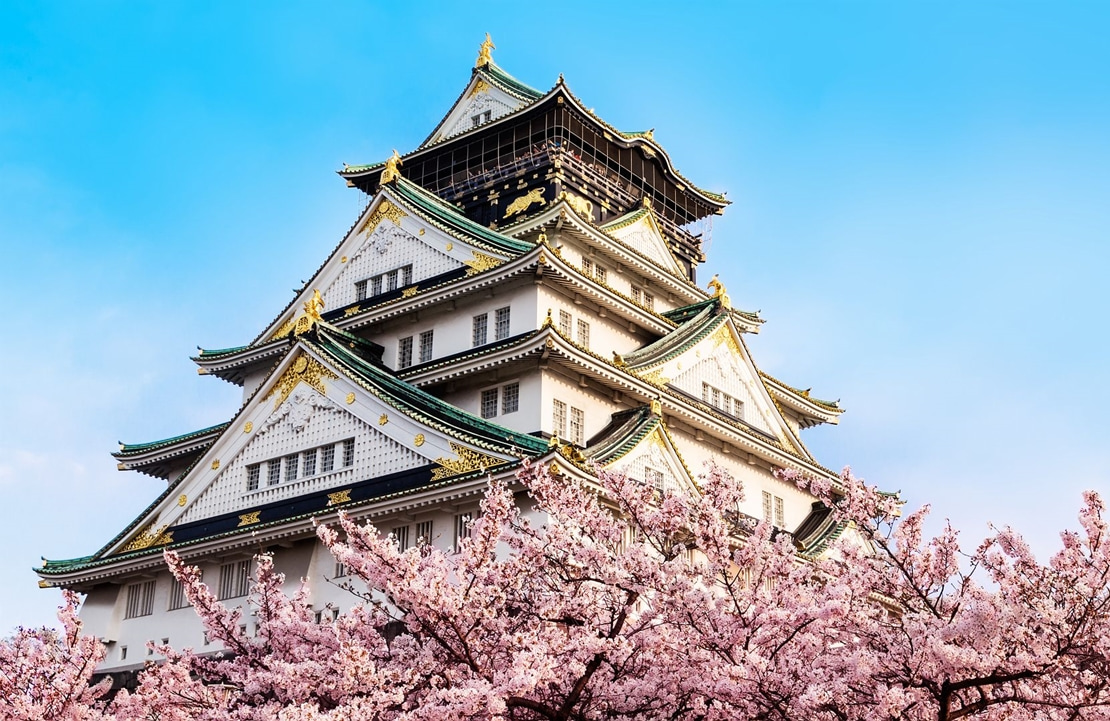 Voyage en train au Japon - Le château d'Osaka au-dessus des cerisiers en fleurs - Amplitudes