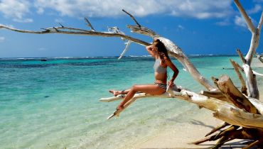 Voyage sur mesure aux Seychelles - Bois flotté et sable doré sur une plage des Seychelles - Amplitudes