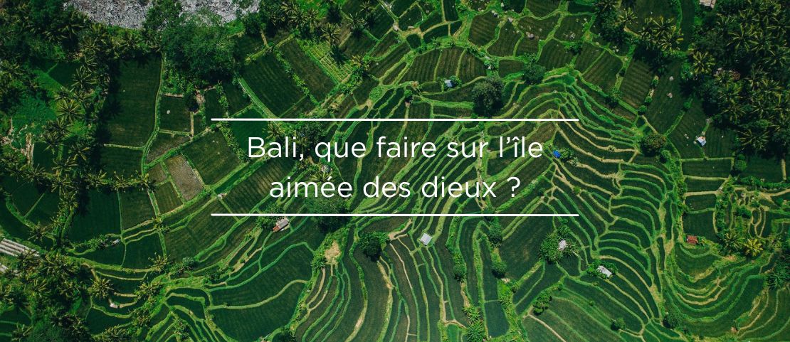 Voyage sur mesure à Bali - La nature de Bali - Amplitudes