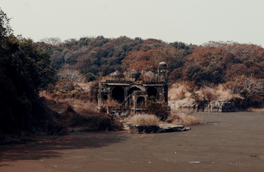 Voyage de luxe en Inde - Édifice en ruine dans le Parc national de Ranthambore - Amplitudes
